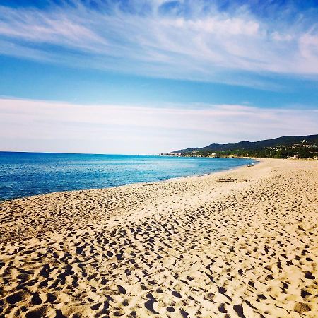 Palauma Plage Sari-Solenzara Eksteriør billede
